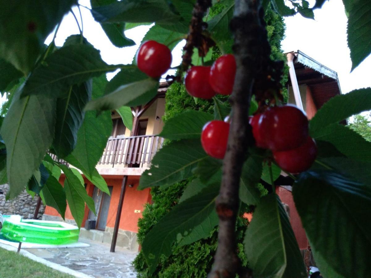 Sunset House Villa Varna Bagian luar foto